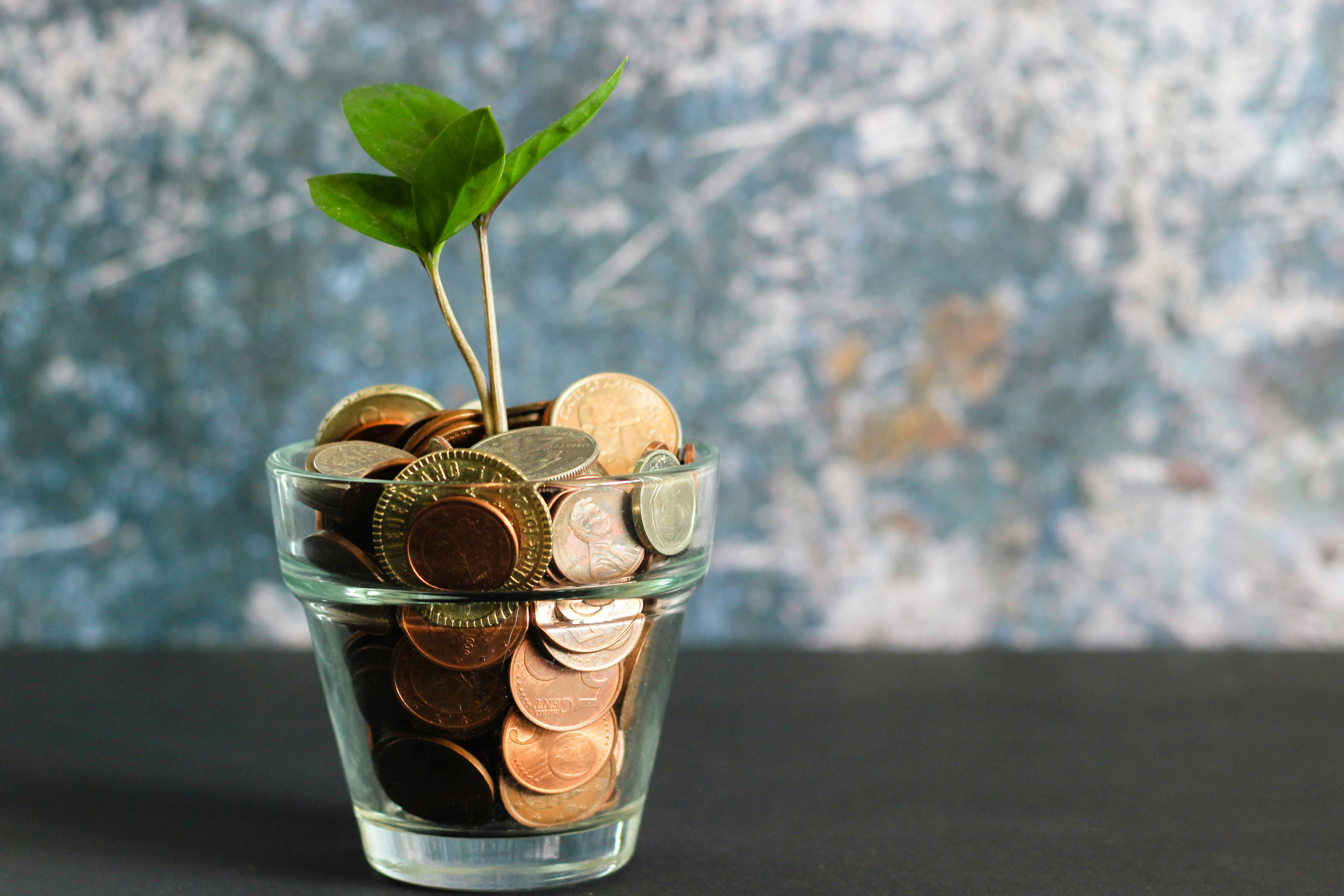 Finansal Okuryazarlık Görseli